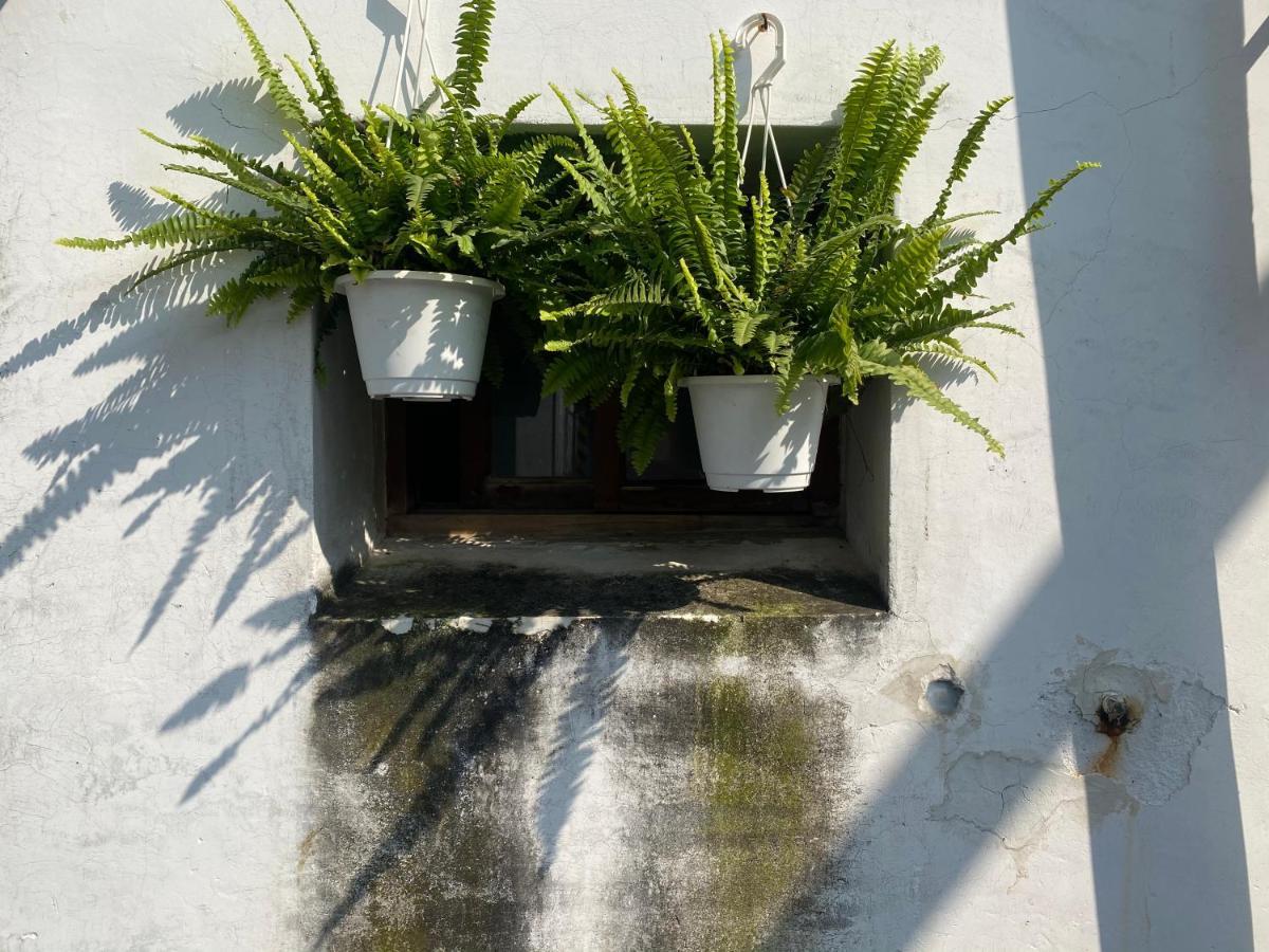 緩緩歸 Slow Living 台南 エクステリア 写真